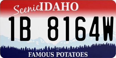 ID license plate 1B8164W