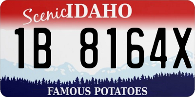 ID license plate 1B8164X