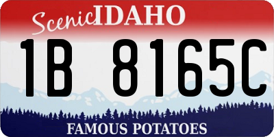 ID license plate 1B8165C