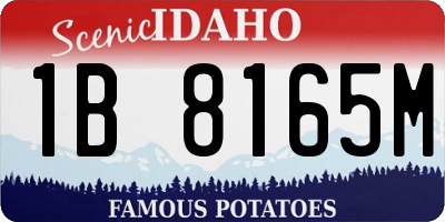 ID license plate 1B8165M