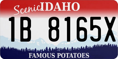 ID license plate 1B8165X