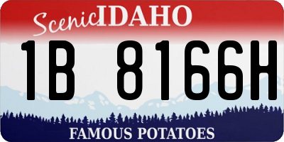 ID license plate 1B8166H