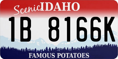 ID license plate 1B8166K