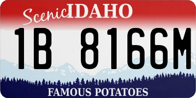 ID license plate 1B8166M