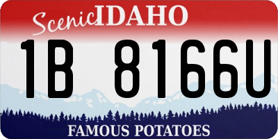 ID license plate 1B8166U