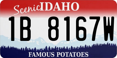 ID license plate 1B8167W