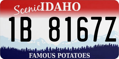 ID license plate 1B8167Z