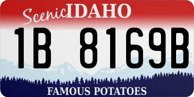 ID license plate 1B8169B