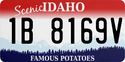 ID license plate 1B8169V