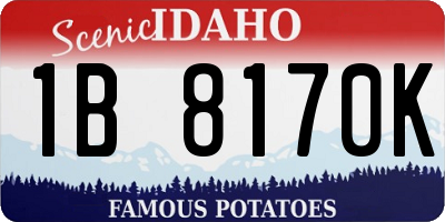 ID license plate 1B8170K