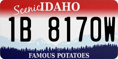 ID license plate 1B8170W