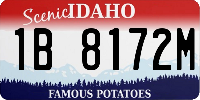 ID license plate 1B8172M