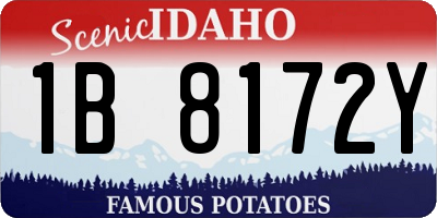 ID license plate 1B8172Y