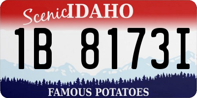 ID license plate 1B8173I