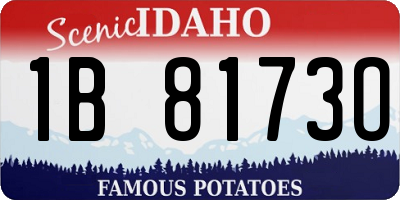 ID license plate 1B8173O