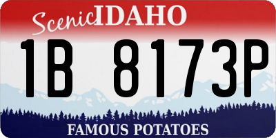 ID license plate 1B8173P
