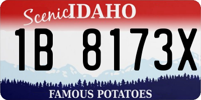 ID license plate 1B8173X