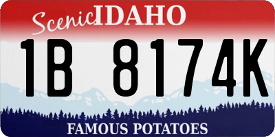 ID license plate 1B8174K