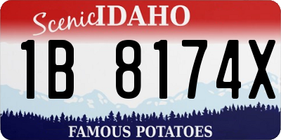 ID license plate 1B8174X