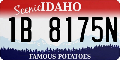 ID license plate 1B8175N