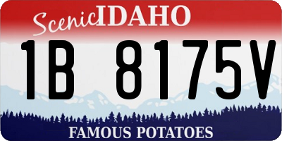 ID license plate 1B8175V