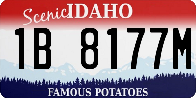 ID license plate 1B8177M