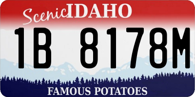 ID license plate 1B8178M