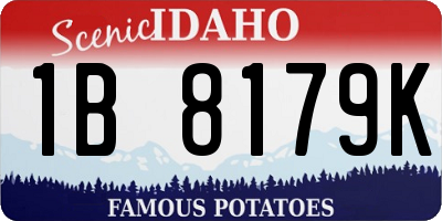 ID license plate 1B8179K