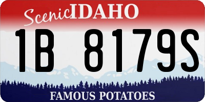 ID license plate 1B8179S