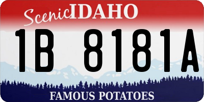 ID license plate 1B8181A