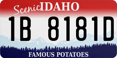 ID license plate 1B8181D