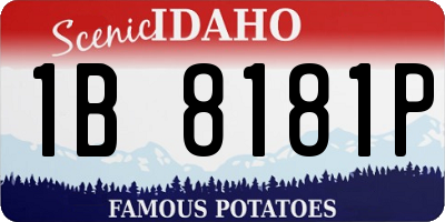 ID license plate 1B8181P