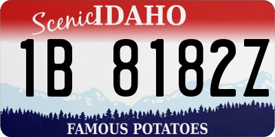 ID license plate 1B8182Z