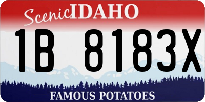 ID license plate 1B8183X