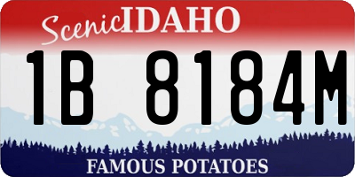 ID license plate 1B8184M