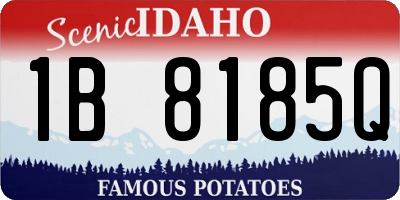 ID license plate 1B8185Q