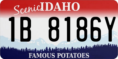ID license plate 1B8186Y