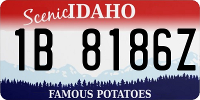 ID license plate 1B8186Z