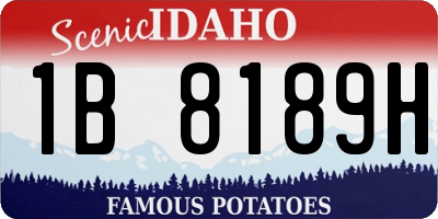 ID license plate 1B8189H