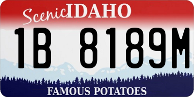ID license plate 1B8189M