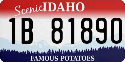 ID license plate 1B8189O
