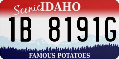 ID license plate 1B8191G