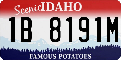 ID license plate 1B8191M
