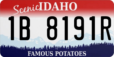 ID license plate 1B8191R