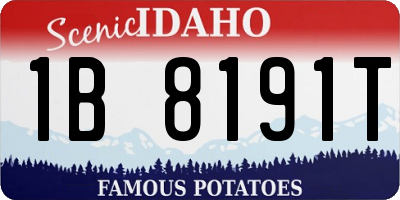 ID license plate 1B8191T