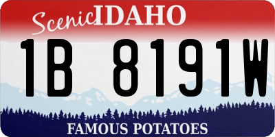 ID license plate 1B8191W