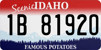 ID license plate 1B8192O