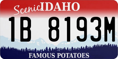 ID license plate 1B8193M
