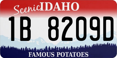 ID license plate 1B8209D