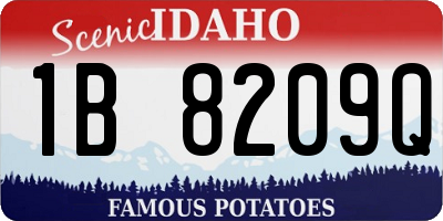 ID license plate 1B8209Q